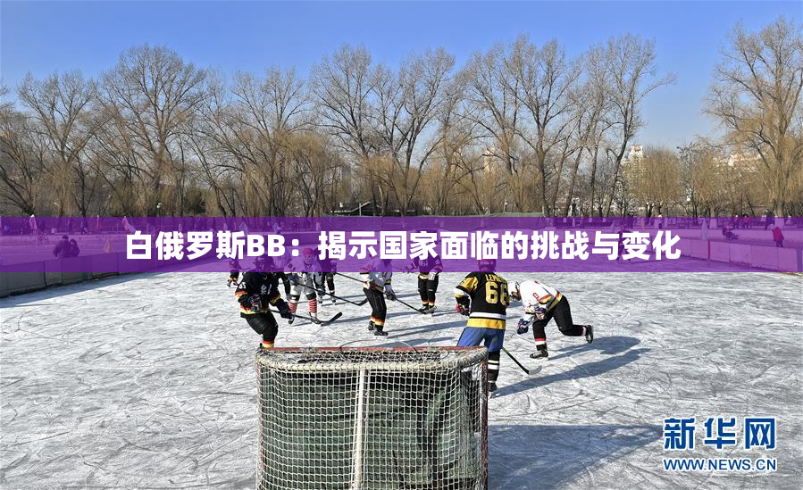 白俄罗斯BB：揭示国家面临的挑战与变化