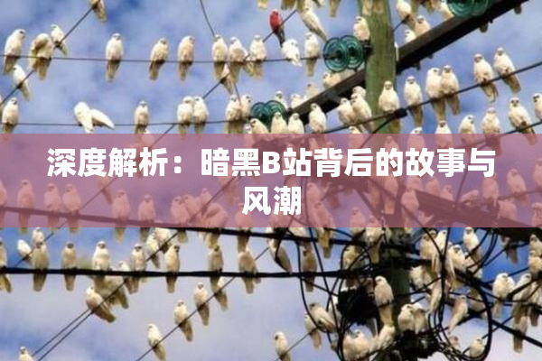 深度解析：暗黑B站背后的故事与风潮