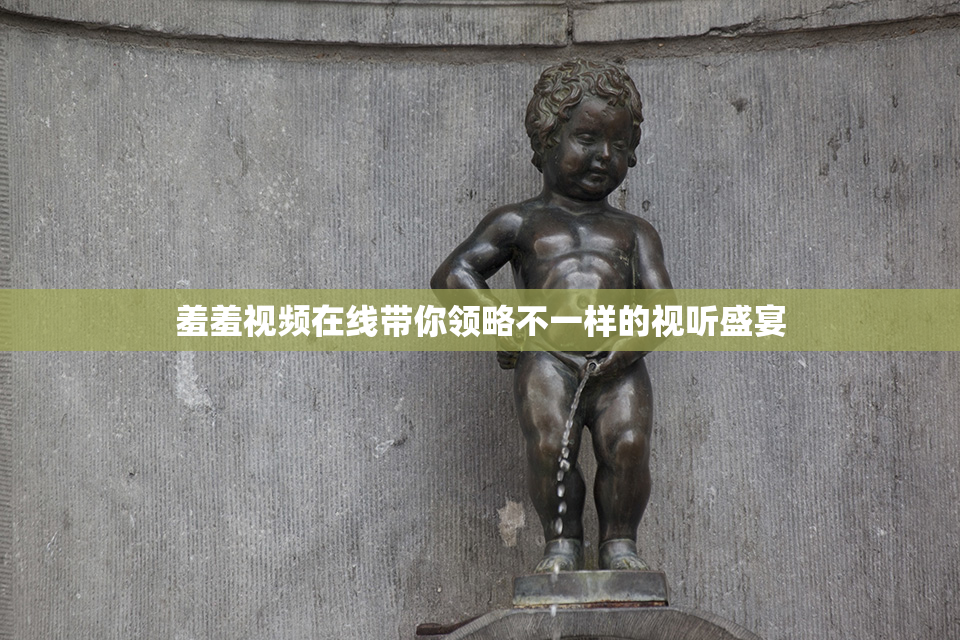 羞羞视频在线带你领略不一样的视听盛宴