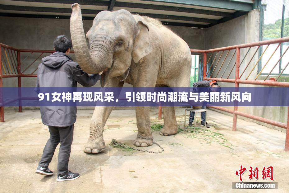 91女神再现风采，引领时尚潮流与美丽新风向