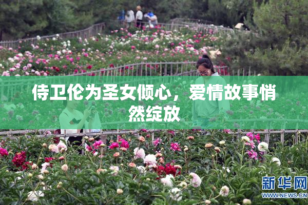 侍卫伦为圣女倾心，爱情故事悄然绽放