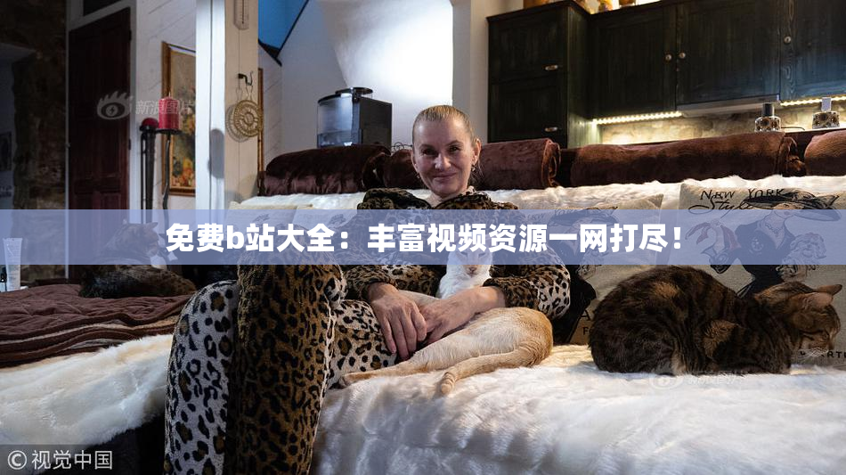 免费b站大全：丰富视频资源一网打尽！