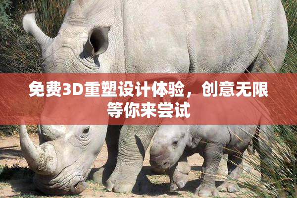 免费3D重塑设计体验，创意无限等你来尝试