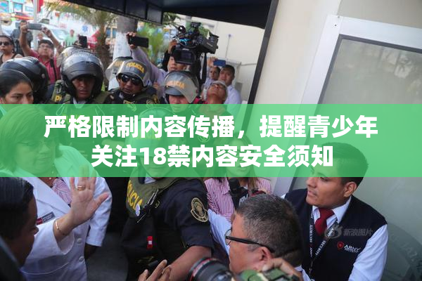 严格限制内容传播，提醒青少年关注18禁内容安全须知
