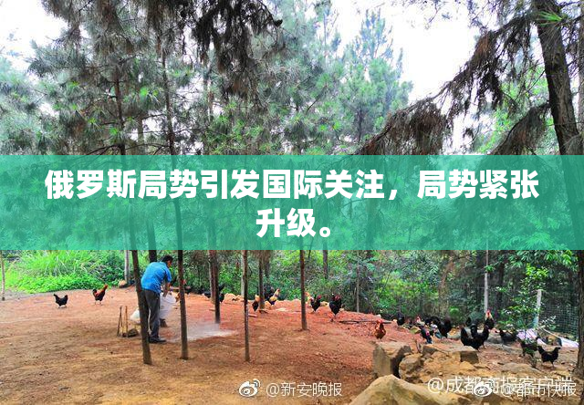 俄罗斯局势引发国际关注，局势紧张升级。