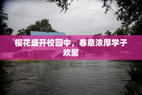 樱花盛开校园中，春意浓厚学子欢聚