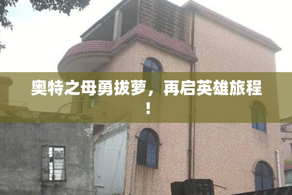 奥特之母勇拔萝，再启英雄旅程！