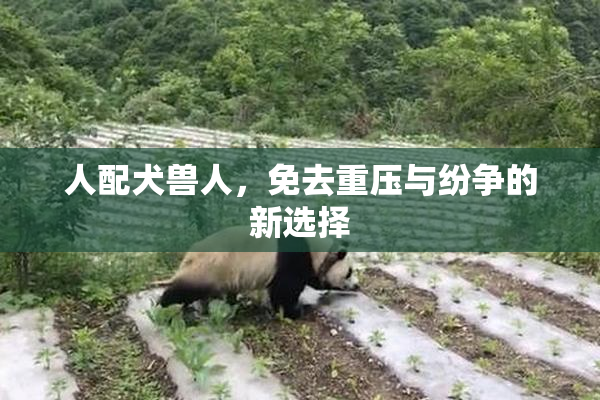 人配犬兽人，免去重压与纷争的新选择