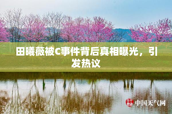 田曦薇被C事件背后真相曝光，引发热议
