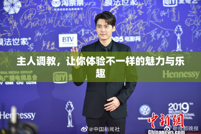 主人调教，让你体验不一样的魅力与乐趣