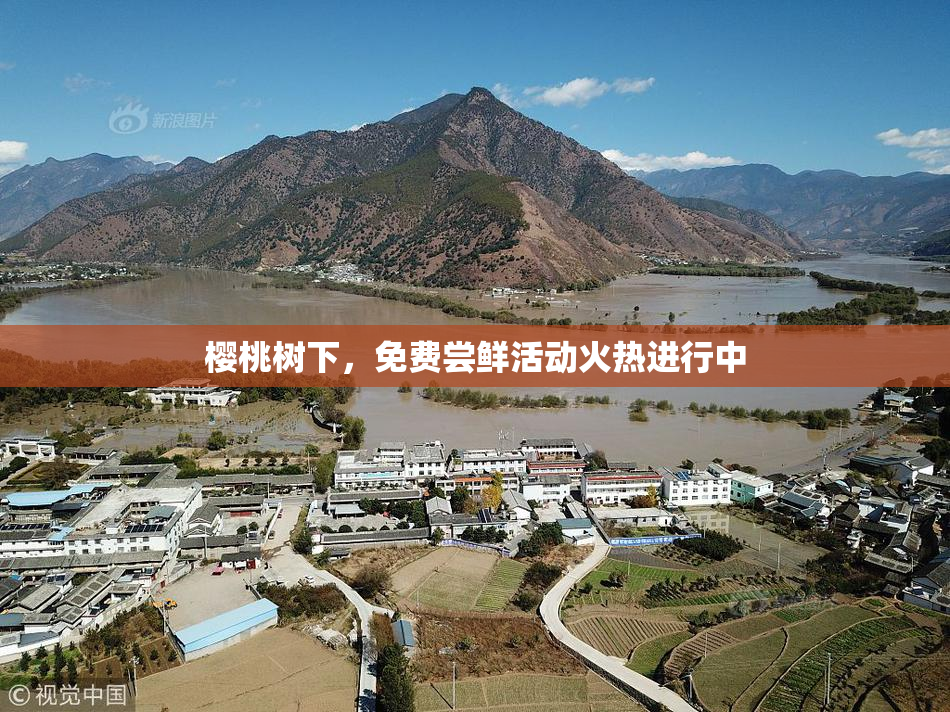 樱桃树下，免费尝鲜活动火热进行中