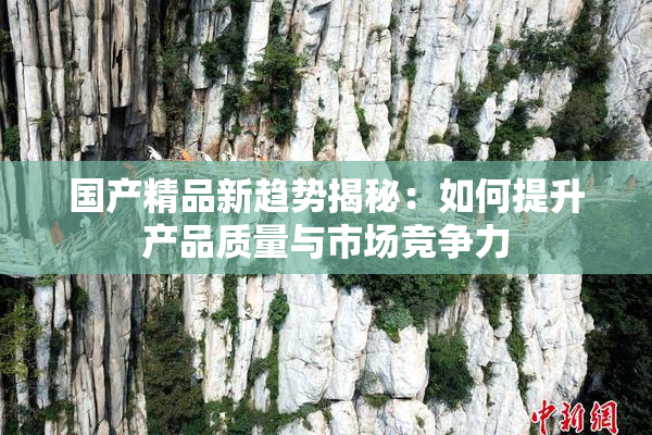 国产精品新趋势揭秘：如何提升产品质量与市场竞争力