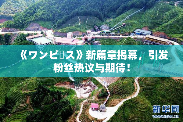 《ワンピース》新篇章揭幕，引发粉丝热议与期待！