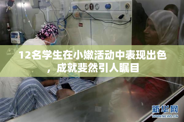 12名学生在小嫩活动中表现出色，成就斐然引人瞩目