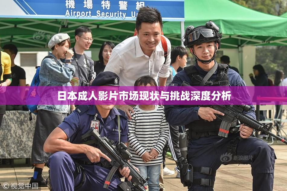 日本成人影片市场现状与挑战深度分析