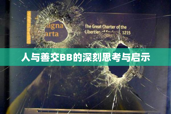 人与善交BB的深刻思考与启示