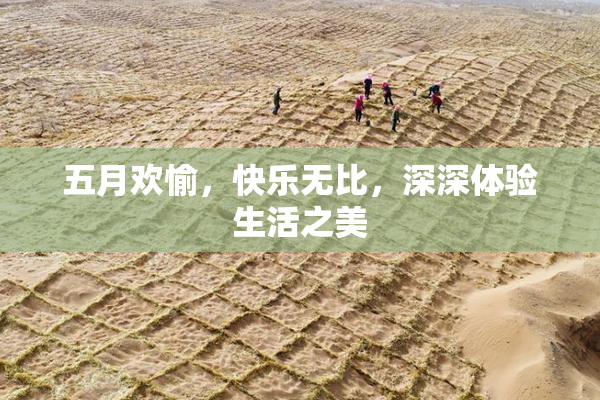 五月欢愉，快乐无比，深深体验生活之美