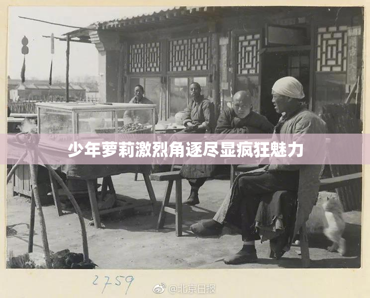 少年萝莉激烈角逐尽显疯狂魅力