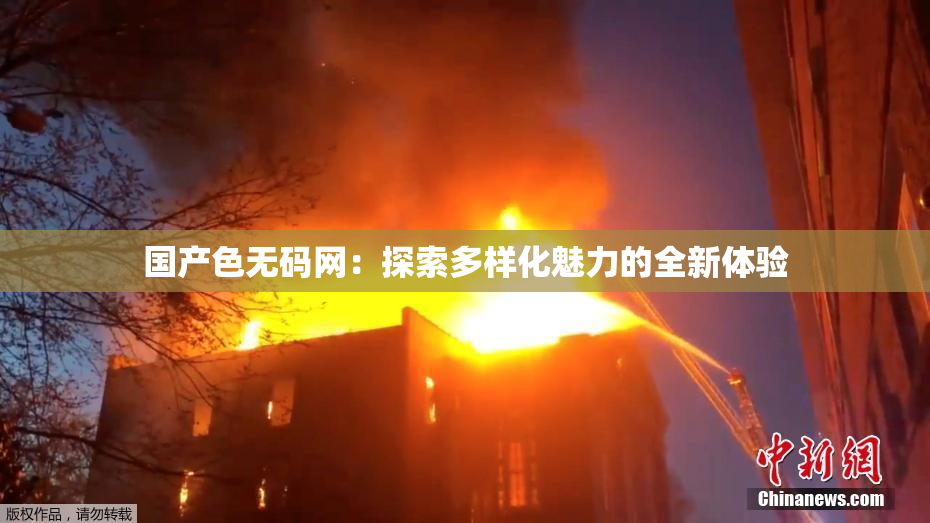 国产色无码网：探索多样化魅力的全新体验