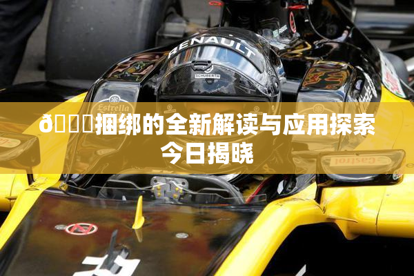 🔞捆绑的全新解读与应用探索今日揭晓