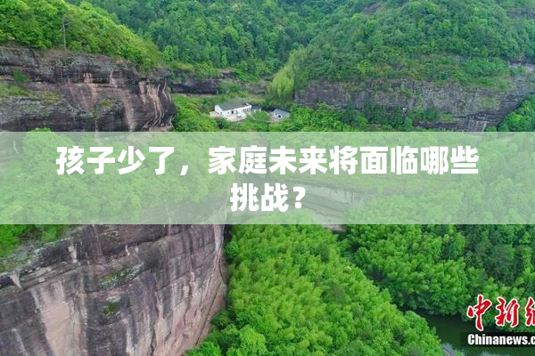 孩子少了，家庭未来将面临哪些挑战？