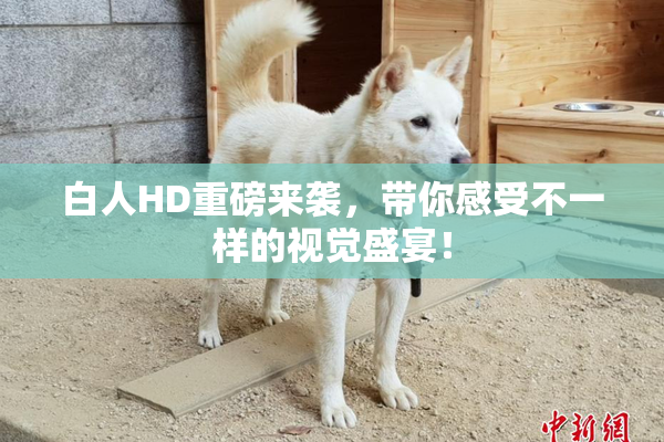 白人HD重磅来袭，带你感受不一样的视觉盛宴！