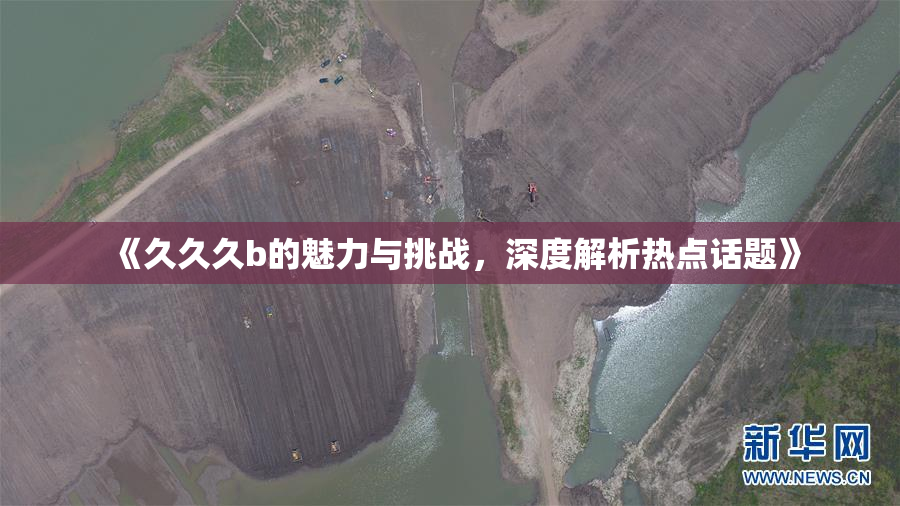 《久久久b的魅力与挑战，深度解析热点话题》