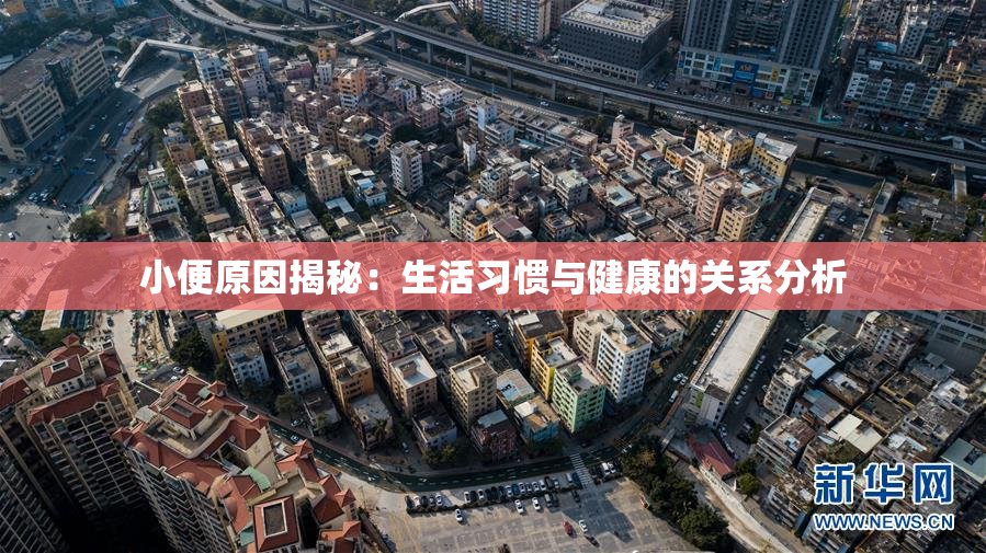 小便原因揭秘：生活习惯与健康的关系分析