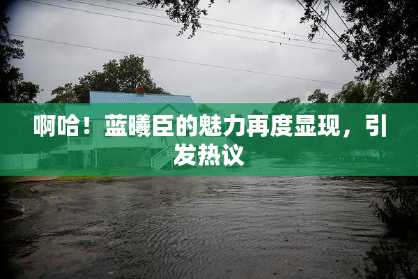 啊哈！蓝曦臣的魅力再度显现，引发热议
