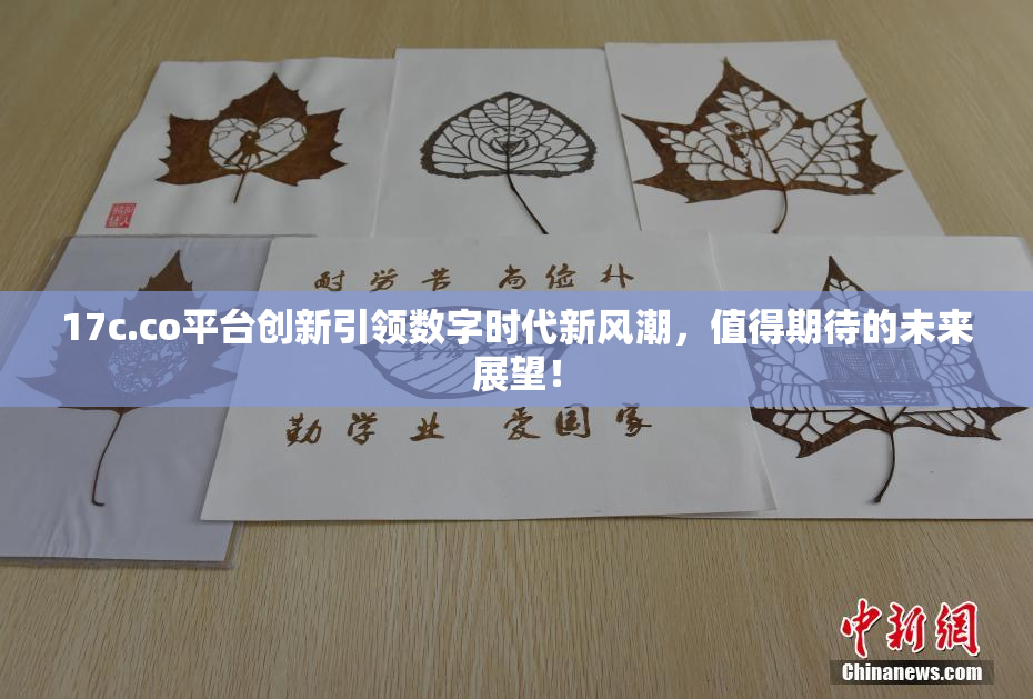 17c.co平台创新引领数字时代新风潮，值得期待的未来展望！