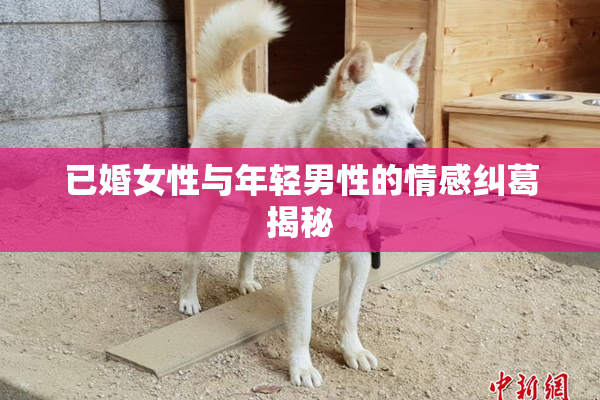 已婚女性与年轻男性的情感纠葛揭秘