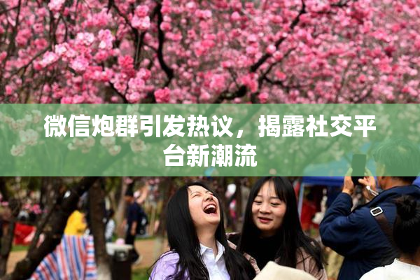 微信炮群引发热议，揭露社交平台新潮流