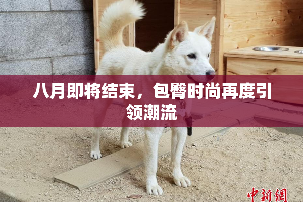 八月即将结束，包臀时尚再度引领潮流