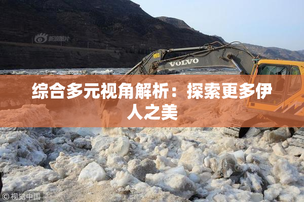 综合多元视角解析：探索更多伊人之美