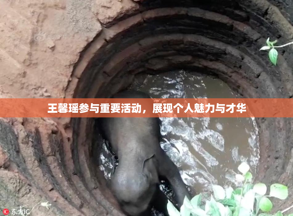 王馨瑶参与重要活动，展现个人魅力与才华