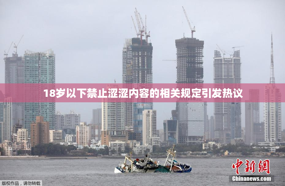 18岁以下禁止涩涩内容的相关规定引发热议