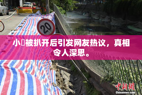 小泬被扒开后引发网友热议，真相令人深思。