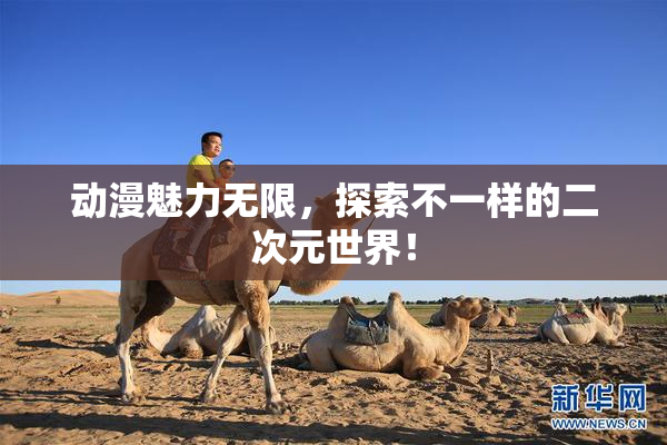 动漫魅力无限，探索不一样的二次元世界！