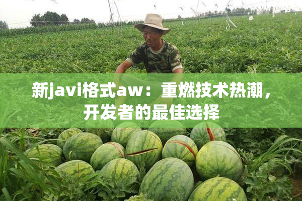 新javi格式aw：重燃技术热潮，开发者的最佳选择