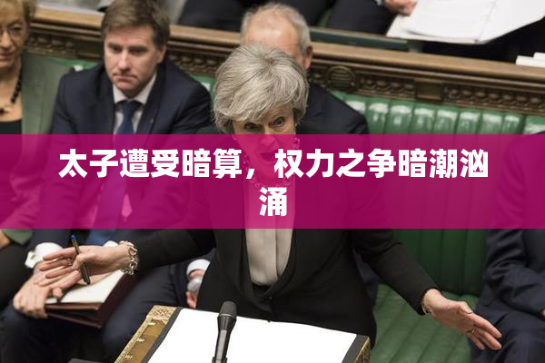 太子遭受暗算，权力之争暗潮汹涌