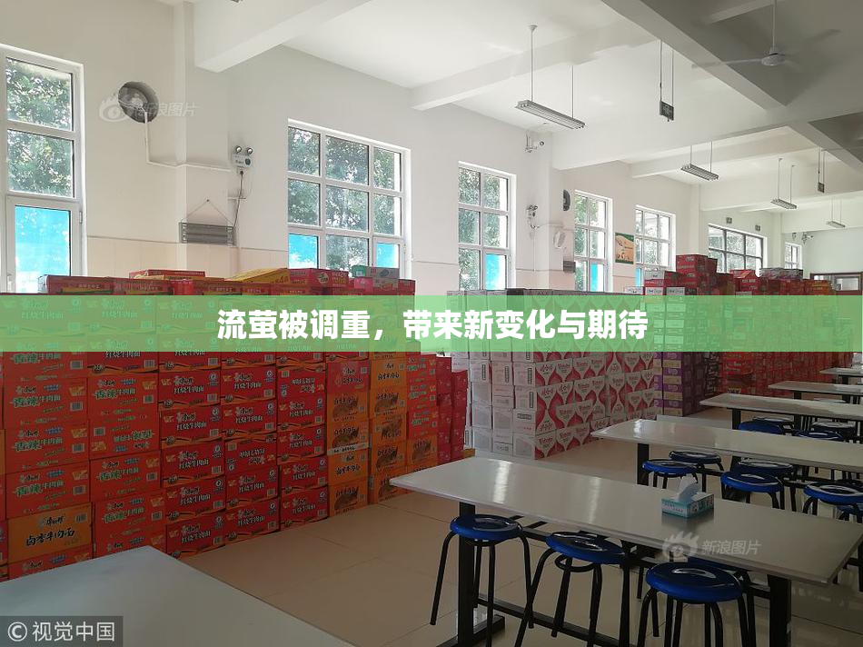 流萤被调重，带来新变化与期待