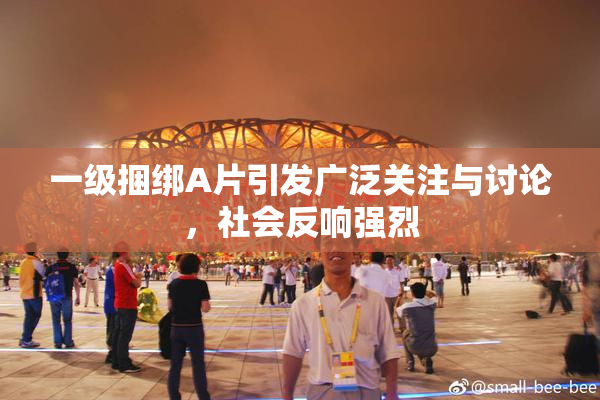 一级捆绑A片引发广泛关注与讨论，社会反响强烈