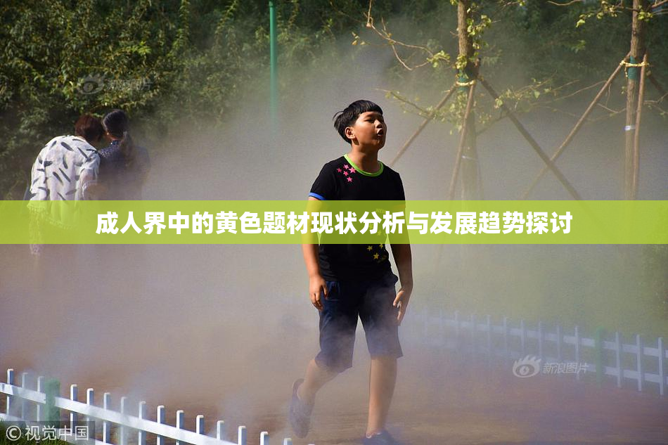 成人界中的黄色题材现状分析与发展趋势探讨