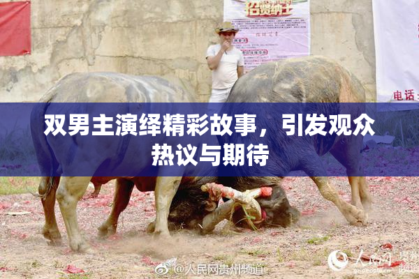 双男主演绎精彩故事，引发观众热议与期待