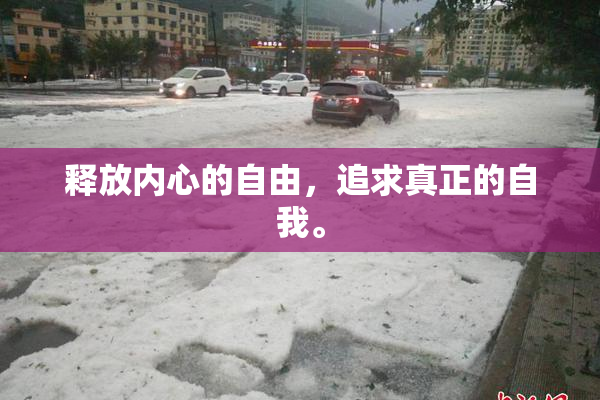 释放内心的自由，追求真正的自我。