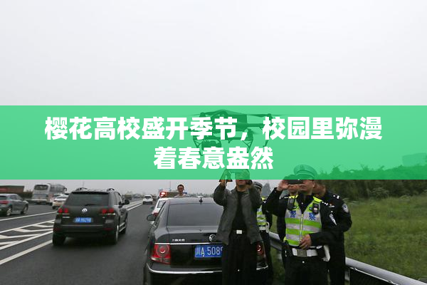 樱花高校盛开季节，校园里弥漫着春意盎然