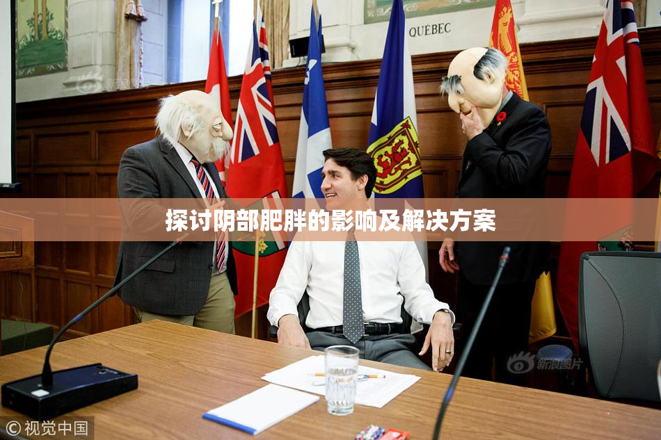 探讨阴部肥胖的影响及解决方案