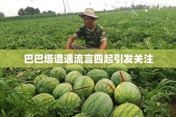 巴巴塔遭遇流言四起引发关注