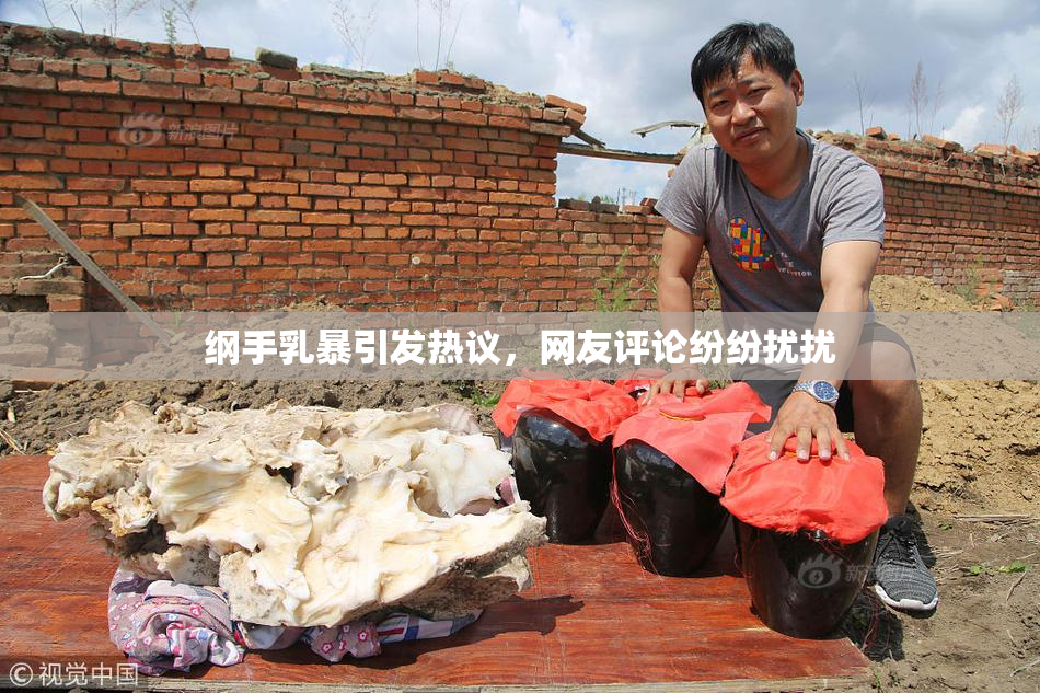 纲手乳暴引发热议，网友评论纷纷扰扰