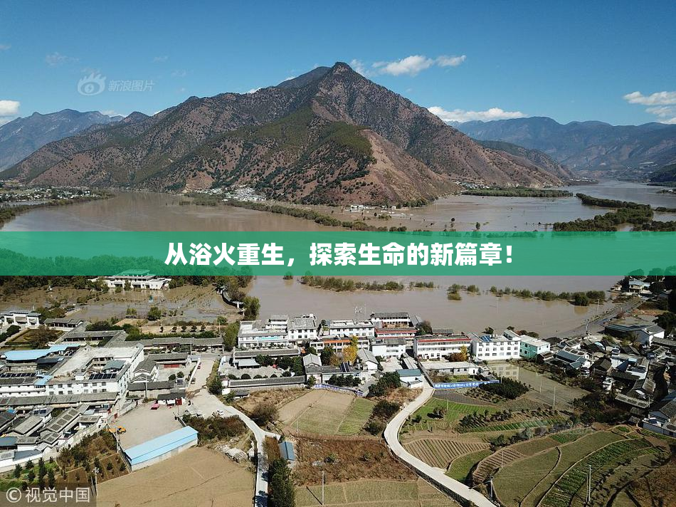 从浴火重生，探索生命的新篇章！